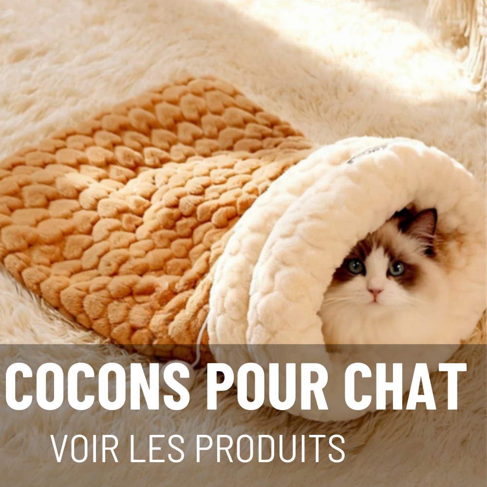 COCONS POUR CHAT