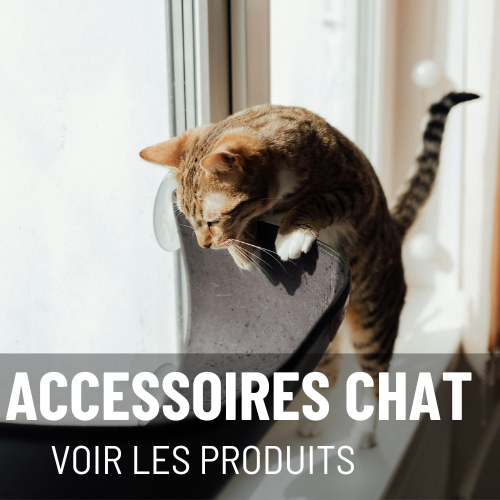 ACCESSOIRES CHAT