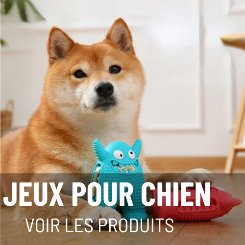 JEUX POUR CHIEN