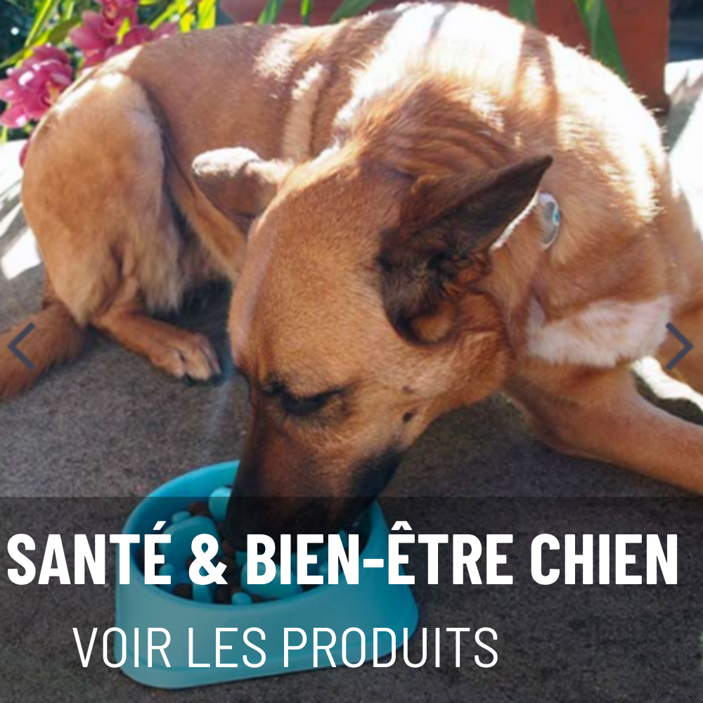 SANTÉ & BIEN-ÊTRE CHIEN