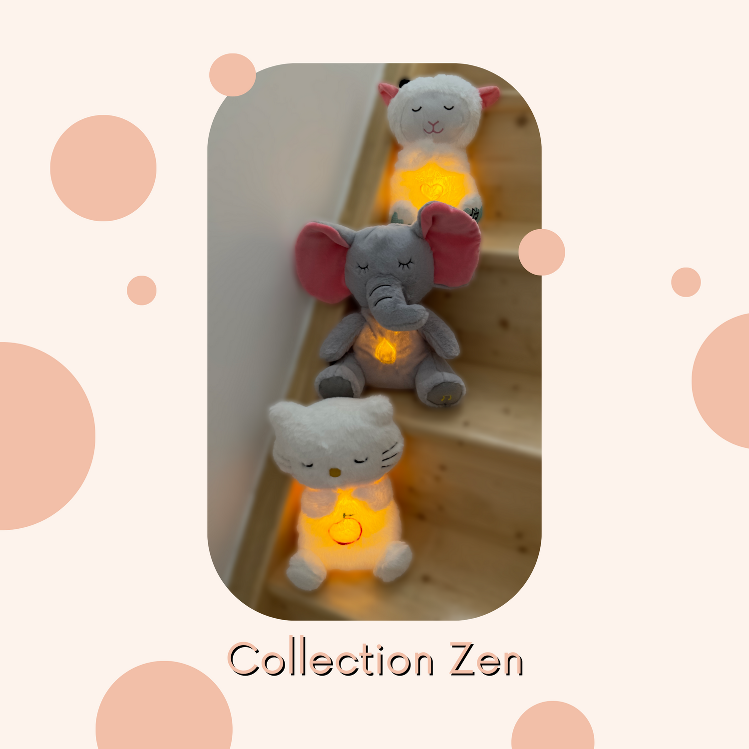 COLLECTION ZEN