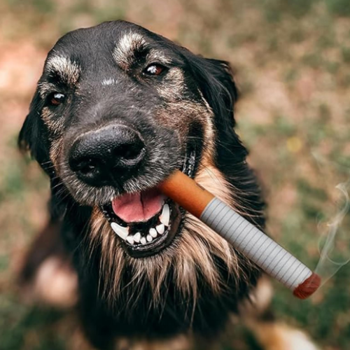 CIGARETTE MACHER POUR CHIEN Jouet en peluche couinant Arvento CIGARETTE MACHER POUR CHIEN Jouet en peluche couinant Arvento