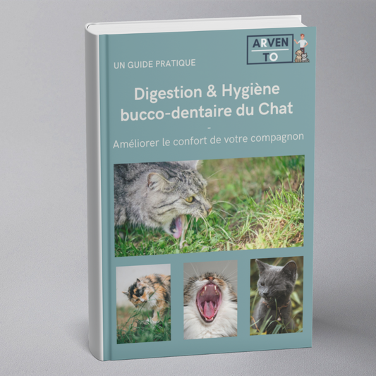 E-book – Digestion & Hygiène bucco-dentaire du Chat