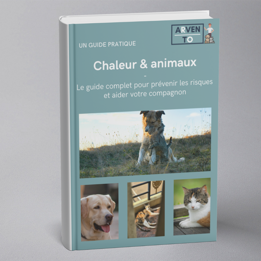 E-book – Chaleur et animaux