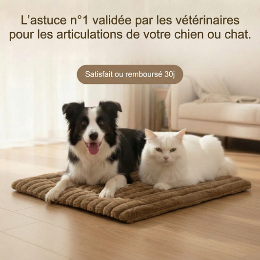 TAPIS AUTO-CHAUFFANT POUR CHIEN ET CHAT - Soulage naturellement les articulations de votre compagnon.