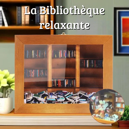 LA BIBLIOTHÈQUE RELAXANTE -  Secouer - Ranger - Décorer