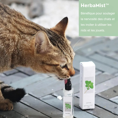 HERBAMIST™ — Spray apaisant aux herbes à chats