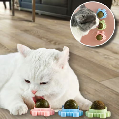 BALLE CATNIP — Balle murale à herbe à chate (Lot de 2)