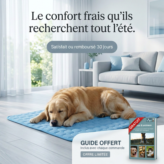 FRESHPAD™ - Tappetino rinfrescante per cani e gatti