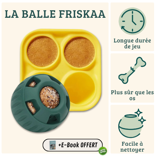 FRISKAA – La balle qui stimule, apaise et régale votre chien