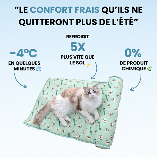 FRESHPET™ — Letto rinfrescante per cani e gatti