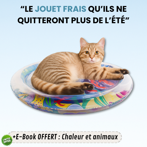 FRESHPLAY™ — Tapis d'amusement et de rafraîchissement
