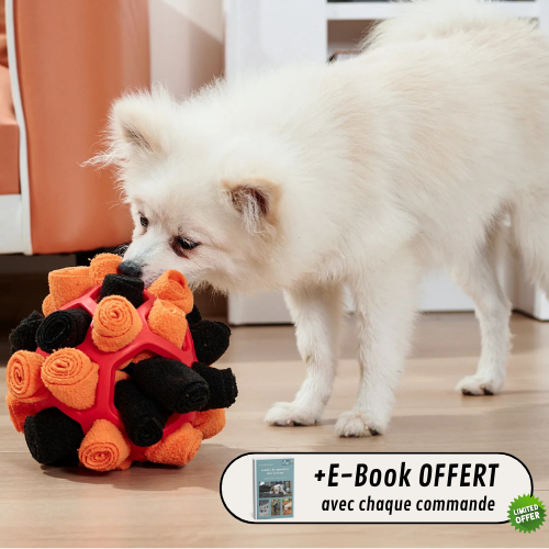 SNUFFLEBALL™ — Balle à renifler pour chiens explorateurs