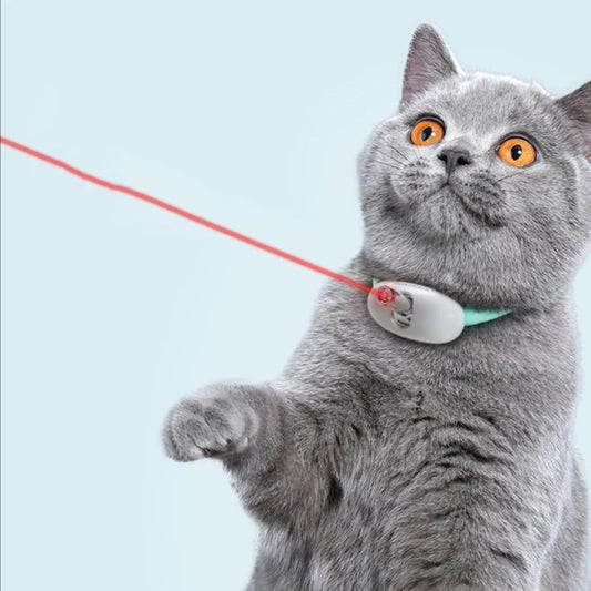 CATZAP™ — Collier laser amusant pour chats