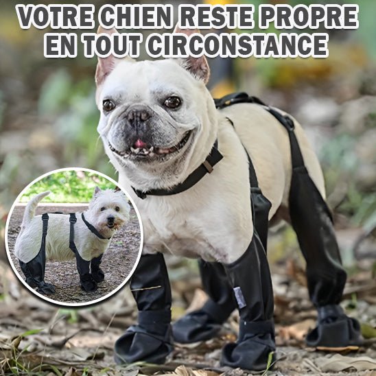 Bottes pour chien | DoggyBoots™ - PuppyDog Zone