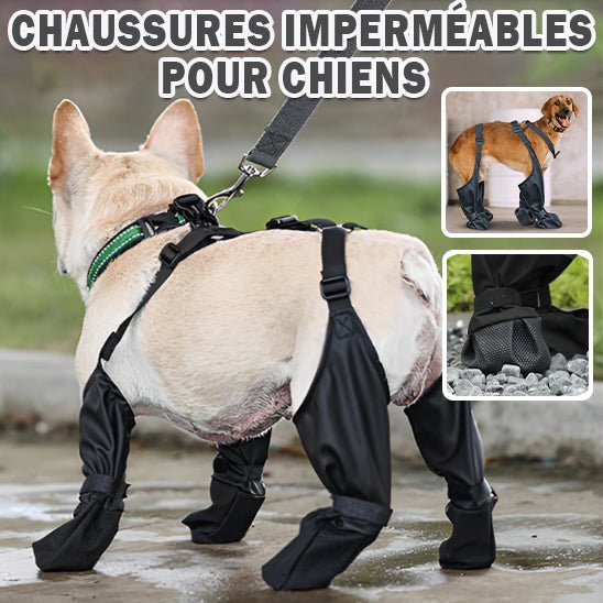 Bottes pour chien | DoggyBoots™ - PuppyDog Zone